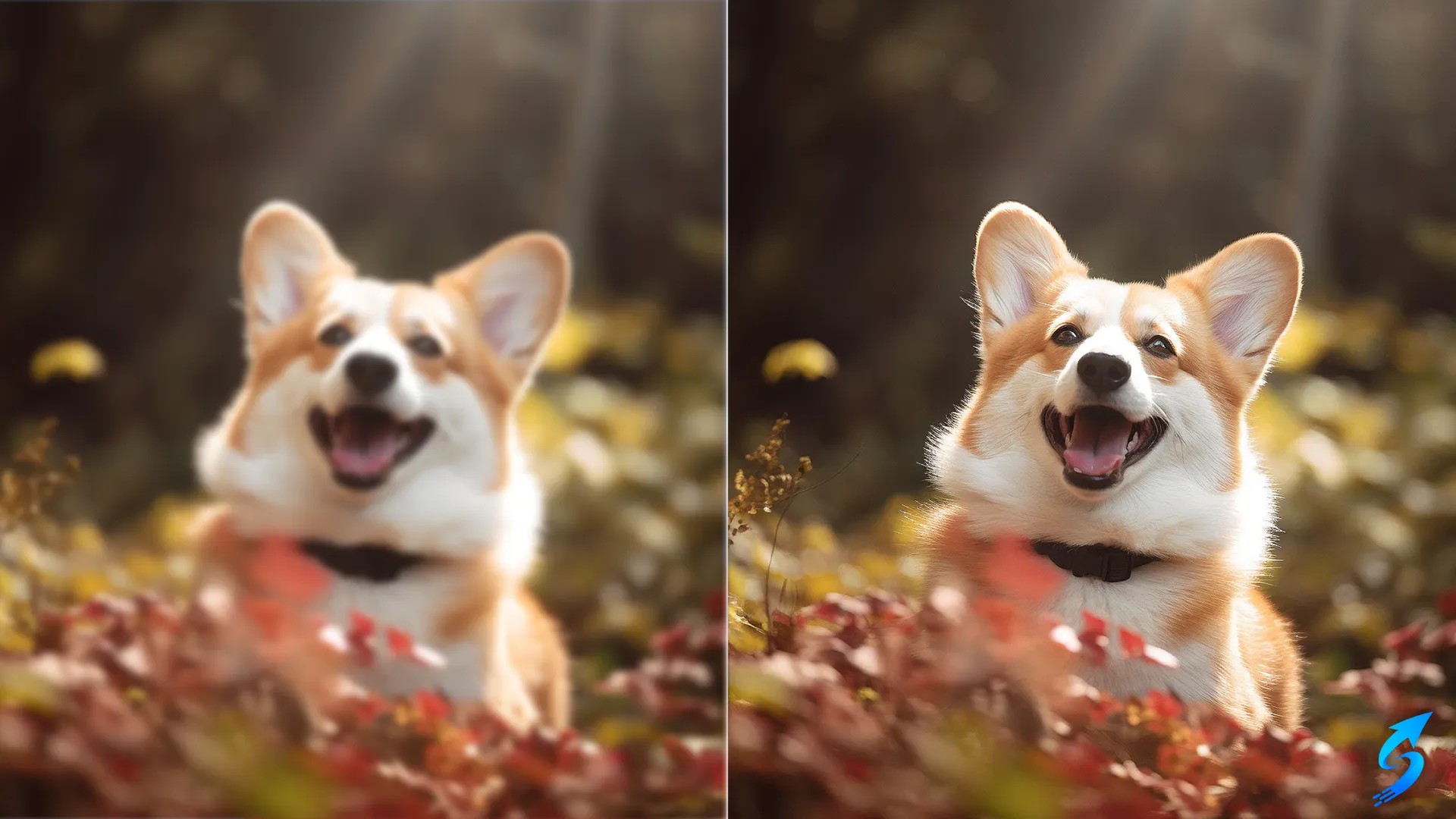 Transforming low-quality images into high-definition masterpieces