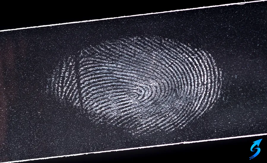 Forensic Fingerprint Analysis