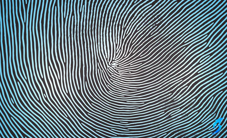 Forensic Fingerprint Analysis