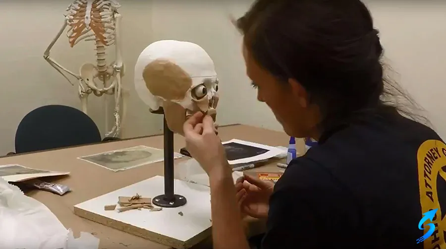 Reconstructing the Face of a Criminal