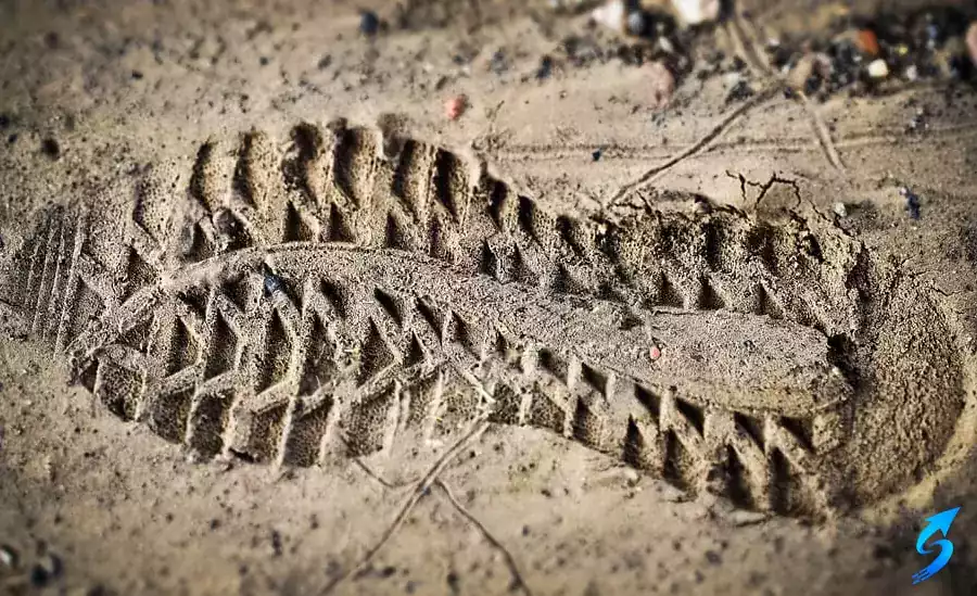 Identifying a Thief Through Footprints and Shoe Impressions